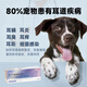 Ear mite medicine for cats and dogs, ear pet dog and cat ointment, compound nystatin otitis infection ointment for puppies and kittens, ear skin lingyierjing has the same ingredients as ear mite combination, ear cleaning liquid + ear mite ointment
