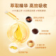 仙芝楼灵芝孢子油软胶囊头道破壁灵芝孢子粉 0.5g/粒*60粒/盒