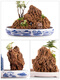 The best gold straw stone raw stone, natural water-absorbing stone, rockery bonsai ornaments, green plants, straw stone 36-40cm piece