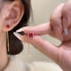 Mansheng red four-leaf clover tassel earrings for women 2026 new high-end light luxury niche unique simple temperament earrings pair