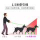 Cool Pet Dog Rope Pet Dog Leash Small Dog Medium Dog Leash Dog Rope Harness Teddy Cat Walking Leash Orange Medium Recommended 6-9 Jin Jin is equal to 0.5 kg