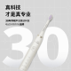 Philips (PHILIPS) electric toothbrush adult couple model S5SPA brush HX2491/01 white sonic vibration cleaning and whitening gum protection 5 modes