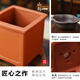 Tangshan Yunsong es auténtico Tangshan Dwarf Literary Bamboo Office es fácil de criar bonsai de escritorio en maceta verde con plantas en macetas 12023 Pot original Tangshan Yunsong de 5 años de 5 años