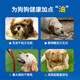 YITO special fish oil for pet dogs and dogs fish oil concentrate hair bright hair skin care black and bright nose head bright hair lecithin liquid Youneng calcium special lecithin for dogs and cats/300g/bottle Model