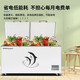 Royalstar freezer commercial first-level energy efficiency large capacity, single temperature, multi-door horizontal large refrigerator, large supermarket ice cream cabinets, energy saving, electricity saving 718 double doors, 1800690850
