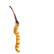 
Luzhangtang Authentic Cordyceps sinensis fine Cordyceps broken grass authentic big cordyceps dry goods buy 10 pieces free 1 piece bulk authentic Tibet Nagqu whole meat strips 1 gram (1 gram pack)