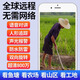索瑞特太阳能监控器360度全景全彩夜视自动追踪室外无电无网络高清无死角4g户外手机远程家用摄像头无线 30天循环录像卡