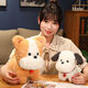 
WELTSTON plush toy puppy doll pillow doll ornament birthday gift girl girl pillow idyllic dog doll