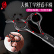 Blackbird pet scissors dog grooming shearing scissors small dog Teddy haircut straight scissors curved scissors teeth scissors fish bone scissors trimming fish bone scissors