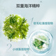 PROYA Facial Mask Chlorella Facial Mask Hydrating and Moisturizing Seaweed Facial Mask Men and Women Hydrating Facial Mask 33 pieces
