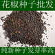 Newly collected Chinese prickly ash seeds, authentic Hancheng Dahongpao Zanthoxylum bungeanum, Lion’s head pepper seeds, Zanthoxylum bungeanum seeds, Dahongpao Zanthoxylum bungeanum seeds, one Jin Jin is equal to 0.5 kilograms