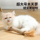 Youfan Cute Cat Toy Wooden Polygonum Cat Funny Stick Extra Large Self-Happiness Relief Boredom Resistance To Grinding Teeth