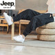 JEEP SPIRIT吉普亚麻裤男夏季薄款九分裤宽松束脚哈伦裤中国风男裤条纹棉麻裤 MK983黑色 L (115-135斤)