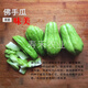 Chayote seeds, handrail melons, four-season seedlings, asparagus seeds, freshly planted seedlings, melon seedlings, melon seeds, chayote melon seeds, 10 pieces