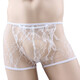 ROSELEX private delivery sexy men's sexy underwear men's thong underwear fully transparent T pants passion white one-size-fits-all lace boxer briefs men's transparent sexy shorts