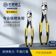 Great Wall carp pliers multi-functional auto repair tool water pipe pliers fish mouth pliers fish tail pliers 200mm8 inch 200108A