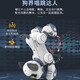 
JJR/C Children's Early Education Intelligent Voice Control Machine Dog Toy Boy 1-3 Years Old Baby 4-6-8 Years Old Child Bionic Robot [Programming Intelligent Follow + Touch Interaction] Golden Gift for Children 2 to 3 Years Old Childhood Gifts