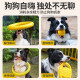 Bingya Dog Toy Large Dog Ring Frisbee Border Collie Sound Pulling Ring Molar Teeth Resistant Bite-Relieving Boredom Artifact Pet Toy Launching Frisbee 21cm