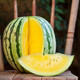 Shouhe yellow flesh watermelon seeds yellow heart gift type yellow flesh Shouguang melon winter and spring home garden melon seeds (Xiaolan) yellow flesh watermelon seeds 10 capsules