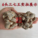 磊祥庄  三七云南文山春三七头无剪口田七 6年生10头带剪口药效王【500g】