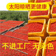 Authentic Ningxia first-crop wolfberry 500g first-crop dried wolfberry large particles wolfberry king soaked in water to drink tea and wine raw materials large fruit [one Jin [Jin is equal to 0.5 kg]]