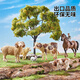 
Lebeifu simulated animal model toy set zoo tiger wild farm boy birthday 61 Children's Day gift