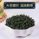 Gynostemum Wild Special Xinjiang Té verde Qian Liupingli Té tradicional Medicina china Luobuma Gynostemum 2 latas Gynostemum 500G