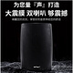 先科（SAST）DW40壁挂式音响音箱喇叭 40W无源需连功放机店铺商用工程会议室家用餐厅公共广播背景音乐 4英寸	