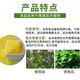 Xinlianxin genuine agricultural urea high-nitrogen fertilizer for vegetables, flowers and fruit trees, general fertilizer, chemical fertilizer, organic compound fertilizer 80Jin Jin equals 0.5kg, original packaging 80Jin Jin equals 0.5kg, one bag express delivery, genuine guarantee, 10% compensation for fakes
