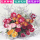 Love Yunnan Natural Dried Roses Bouquet Living Room Decoration Lucky Rose Dried Flowers Real Flower Decorative Ornaments Air-dried and Baked Stunning Bubbles About 30 Heads
