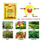 Senhuo Jinbang Zheng's Chemical 8% Aminobutanol Garden Green Plant Resistance, Stress and Disease Resistance, Vegetable Expansion, Coloring, Increase Yield, Cold Resistance, Promote Cell Division, Preserve Flowers and Fruits, Growth Regulator 50g/bag*10 bags