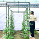 Correr en ambas piernas [entrega de la puerta] marco de trepadora uva de pepino frijoles estante de coliflor corchete de jardín de jardín de jardín soporte de flores espesas de 8 mm de largo 120 cm 10 piezas extra grandes