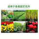 Compound fertilizer urea phosphate fertilizer potassium fertilizer flower fertilizer flower potted vegetables and fruit tree fertilizer universal nitrogen, phosphorus and potassium general upgraded formula compound fertilizer 10Jin Jin equal to 0.5kg