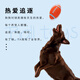 EETOYS large rugby dog toy, fun, sound-making, teeth-cleaning, companionship, interactive and boredom-relieving pet toy