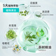 Caile Shower Gel Tea Tree Essential Oil Refreshing Skin Care Body Soup Universal 300ml for Men and Women