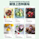 美膳雅冰淇淋机家用小型全自动意式gelato冰激凌机制冰雪糕机 冰沙白冰淇淋机