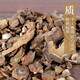 Kangmei Panax notoginseng Wenshan Panax notoginseng Chinese herbal medicine Official pharmacy Chinese medicine Kangmei Panax notoginseng tablets Chinese herbal medicine Yunnan Tianqi Clean and independent small packaging 500g