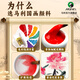 Marie s Chinese painting pigments, 24 colors of Chinese painting pigments for ink painting, introductory brush set for beginners, brush, rice paper and ink entry-level painting art tool set, 12 colors, 5ml, single box of paint + 1 brush, official standard configuration