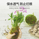 Shangyang sphagnum moss about 12L (level 2) turtle hibernating climbing pet Clivia orchid moss potted fluffy moisturizing nutritious soil