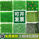 Simulated lawn carpet, artificial plastic mat, artificial fake turf yard outdoor fence, artificial fake grass mat 40*60 large grass belt