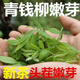恩施青钱柳茶特级嫩叶养生调养茶茶湖北恩施青钱柳正宗 精选特级100g罐装