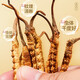Lei Yunshang [official] [Naru Qu, Tibet] Cordyceps high-end gift box for supplements for elders [Cordyceps, full of respect] 50/8g