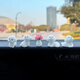Leedy niedliche süße Bichon Hundautos Ornamente süße kleine Bichon -Hund Ornamente 4 Bichon Hund Ornamente + rosa Rosen
