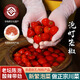 
Love Shu Flavor [Sichuan Origin] Soak Erjingtiao + Bell pepper + Millet spicy 1050g straight from the source
