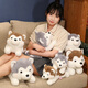 Dudo mignon chiot en peluche jouet mignon animal de compagnie husky erha chien oreiller poupée gris rag doll cadeau d'anniversaire marron 50 cm