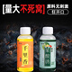 Shuiqianyun High Concentration Small Medicine Fruit Acid Barley Sweet Potato Paste Concentrated Nest Feed Wild Fishing Crucian Carp Carp Black Pit Fishing Bait 3 Bottles Concentrated Fruit Acid Lure 60ml No Specifications