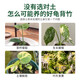 Shangyang Monstera's special nutrient soil 8L gardening flower soil nitrogen, phosphorus and potassium green plant potted organic compound peat planting soil