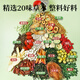 Mingyuan Qingqianliu Corn Rave Mulberry Blatt Tee Frost und Trinken von Pueraria Wurzel Wurzelblutdruck Fett Dreihoch ältere Gesundheit Tee Geschenkbox [108 g (6 Dosen)/Box] [Versuchen Sie es zu trinken] [Drei Hochs sind immer verfügbar]