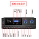 先科（SAST）PA-315V  功放机大功率家用KTV家庭影院卡拉OK家用客厅K歌音响音箱功率放大器【光纤同轴版】