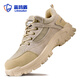 Chaussures de protection du travail du bouclier bleu choux de choux masculin